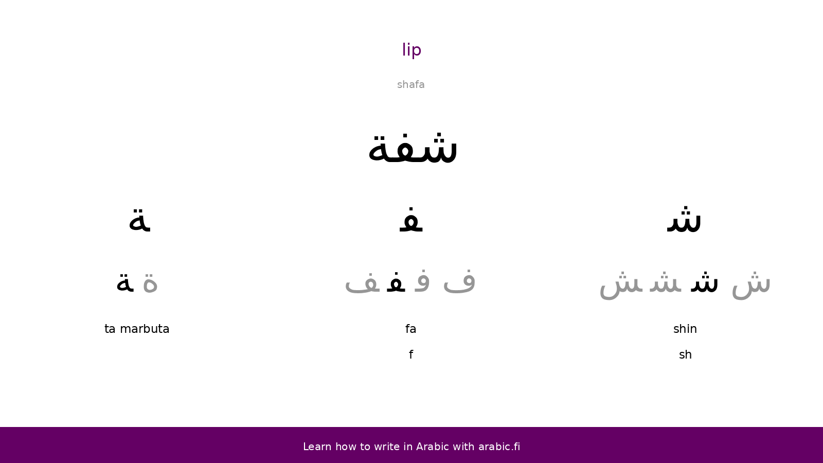 Lip – an Arabic word